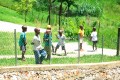 Jamaica